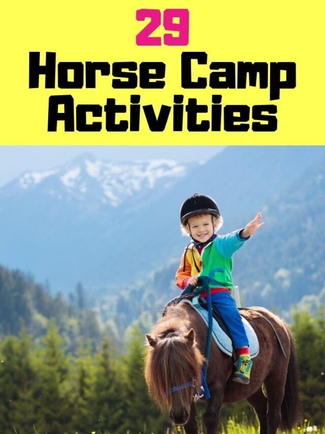 29 Horse Camp Activities That Are Fun For Kids and Adults