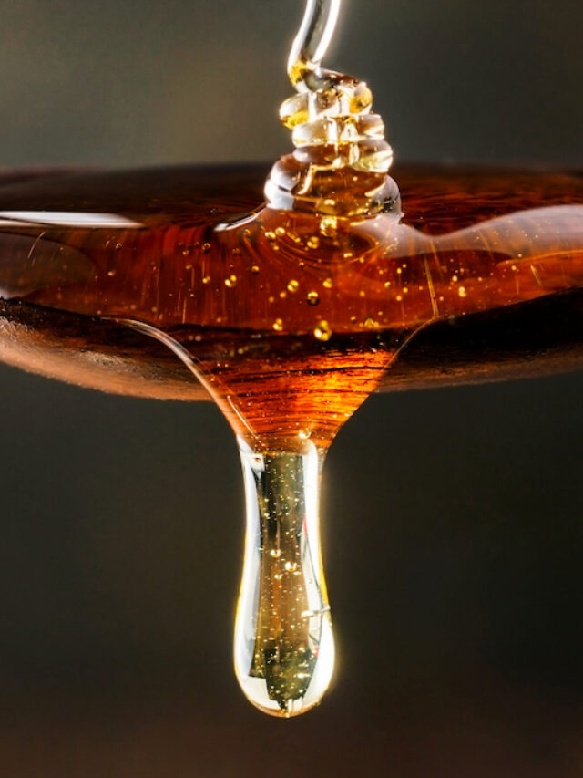 Can Horses Eat Honey?
