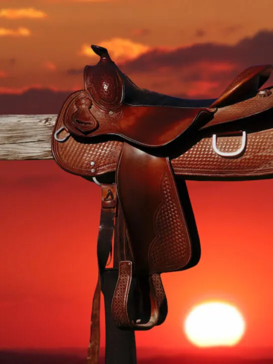 horse saddle on a rural fence during sunset