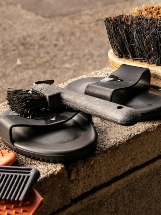 horse tools for grooming