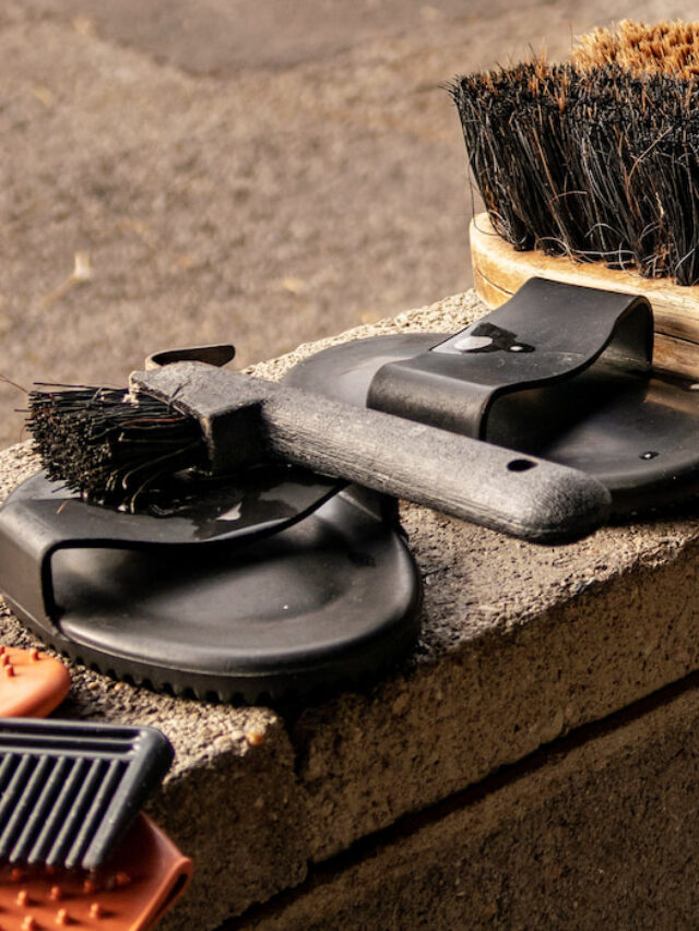10 Essential Grooming Supplies for Every Horse Owner