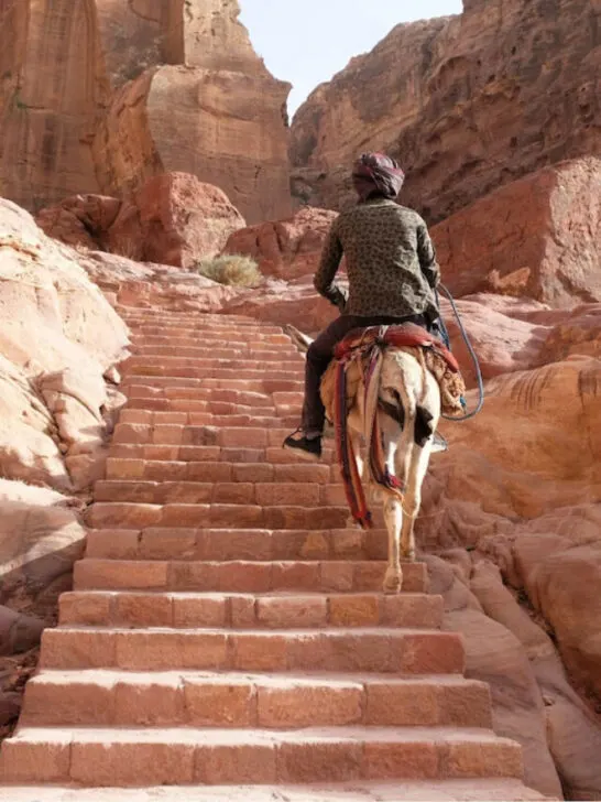 jordanian guy riding a donkey on stair steps