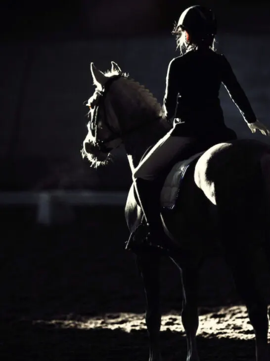 little girl riding a horse for dressage