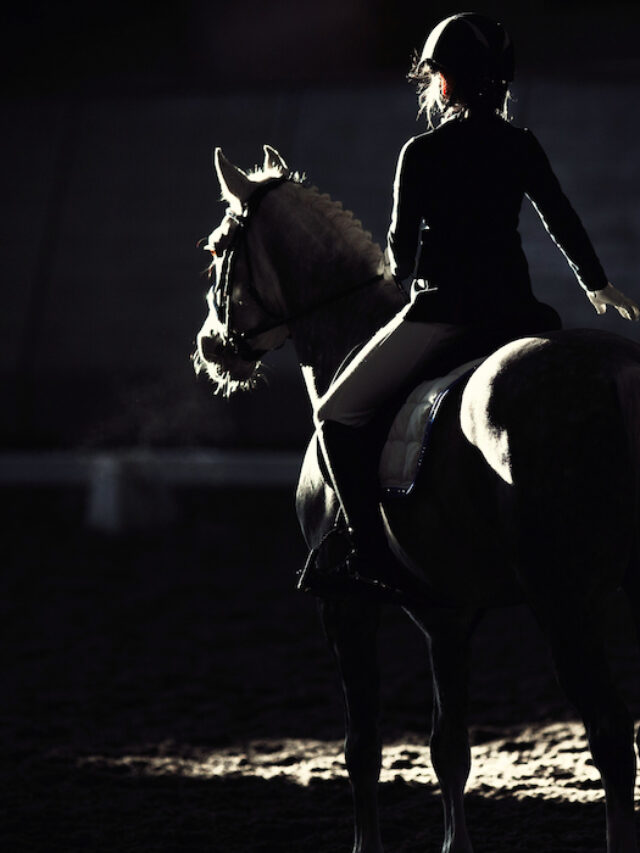 Dressage Levels Explained Beginner Tips & Tricks + Practice Routines Helpful Horse Hints