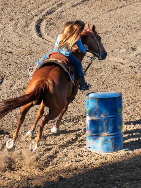 little girl riding her horse doing barrel racing runs
