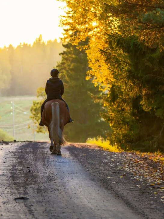 riding in the middle of the road