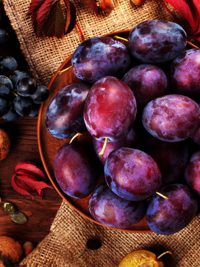 Can Horses Eat Plums?