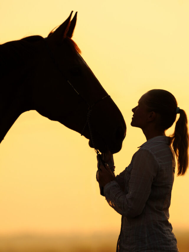 21 Amazing Thoroughbred Horse Facts