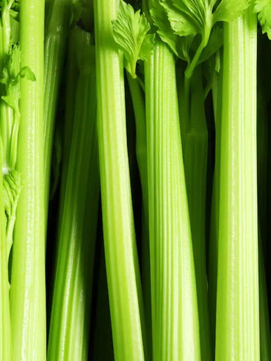 stalks of celery closeup