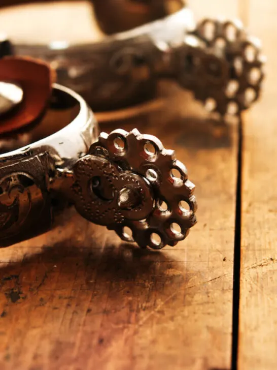 stylish spurs