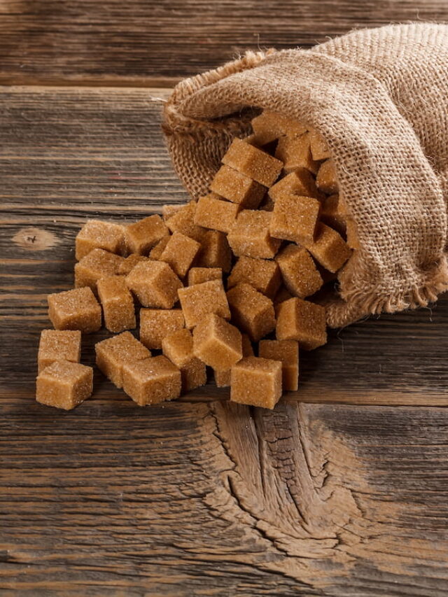 do-horses-eat-sugar-cubes-helpful-horse-hints