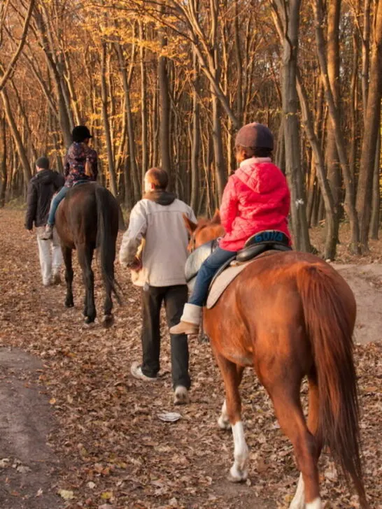 two young children riding horses in the forest with parents