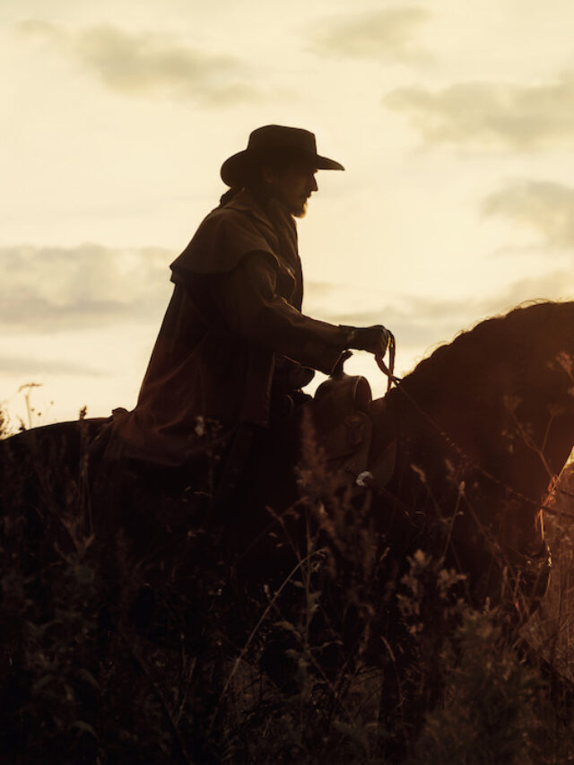 95+ Cowboy Horse Names – Organized by Horse Color