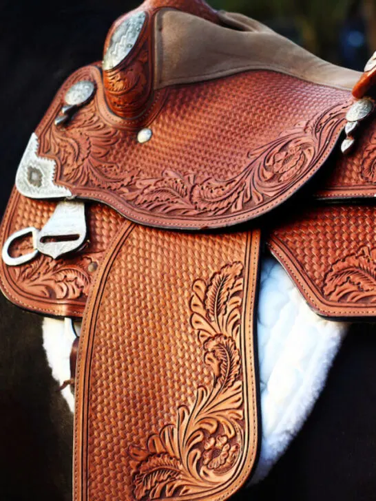 western dressage saddle closeup