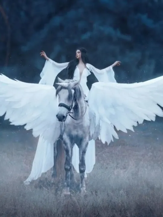 cropped-white-pegasus-with-rider.jpg