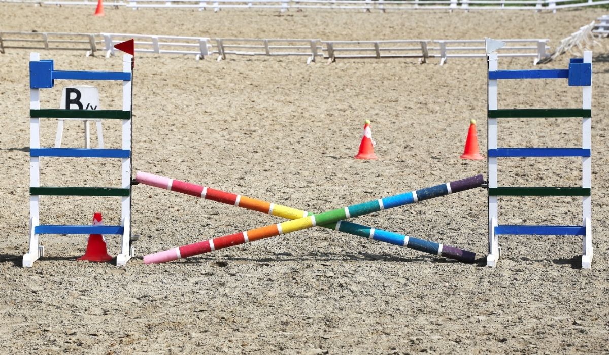 Horse Jump Types Helpful Horse Hints