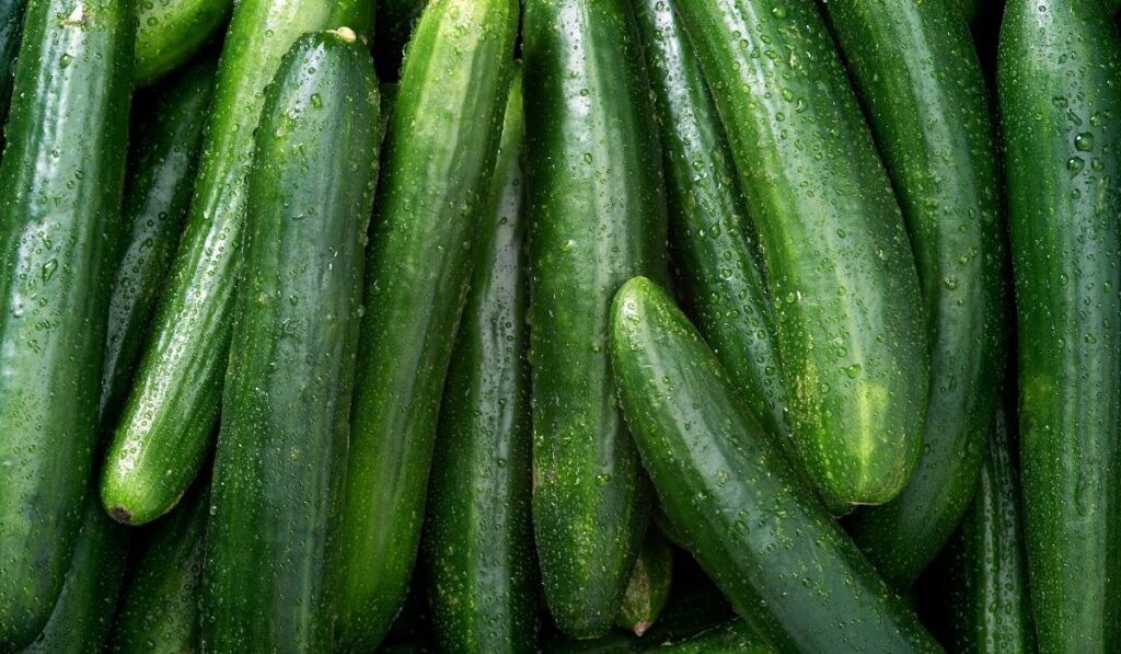 cucumber