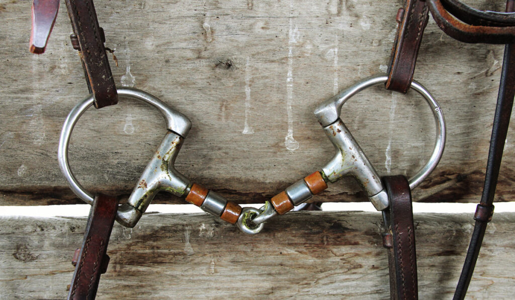 d-ring snaffle closeup