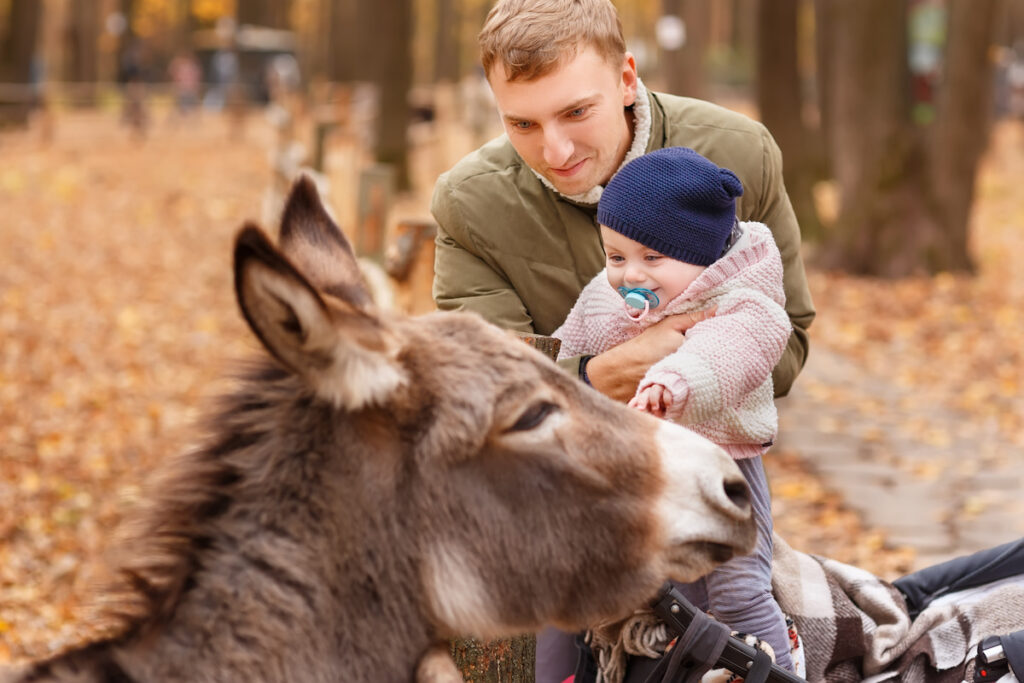 dad holding his baby while interacting with a donkey at the zoo