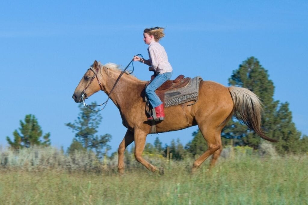 Kid riding a dapple palomino horse