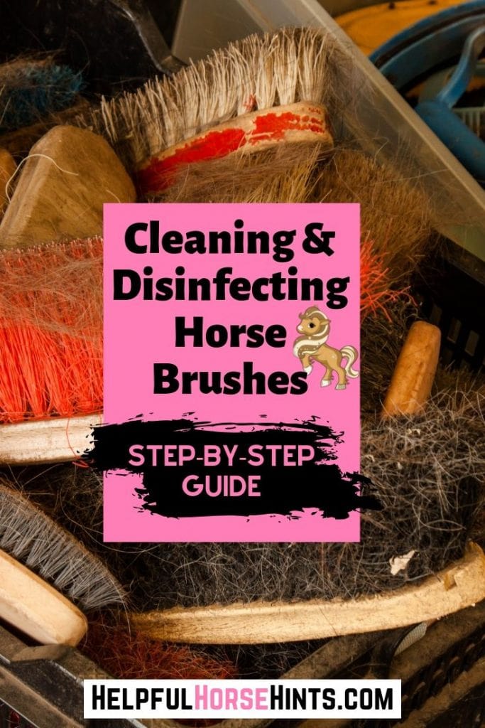 Pinterest Pin - Cleaning & Disinfecting Horse Brushes 