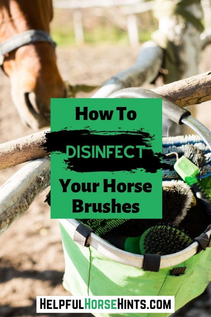 Pinterest Pin - How to Disinfect Your horse brushes