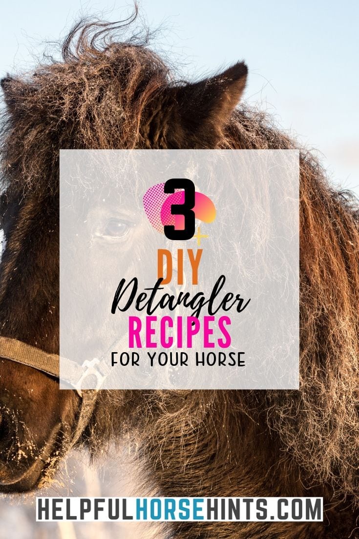 3 Easy DIY Horse Detangler Recipes Helpful Horse Hints