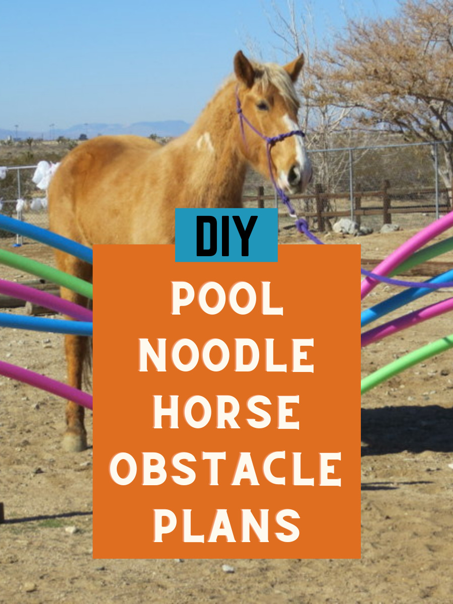 DIY Pool Noodle Horse Obstacle Plans Helpful Horse Hints
