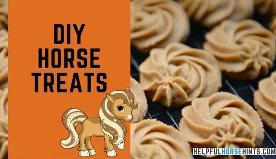 diy horse treats