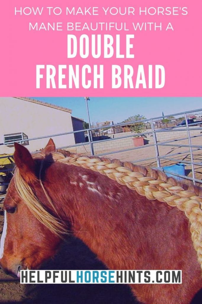 Pinterest Pin - How to make your horses mane beautiful with a double French braid