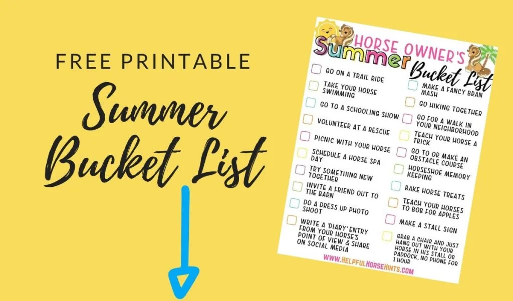 Free Printable Summer Bucket List