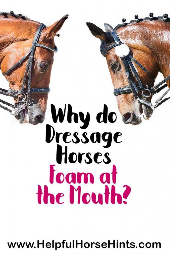 two horses with mouth foam