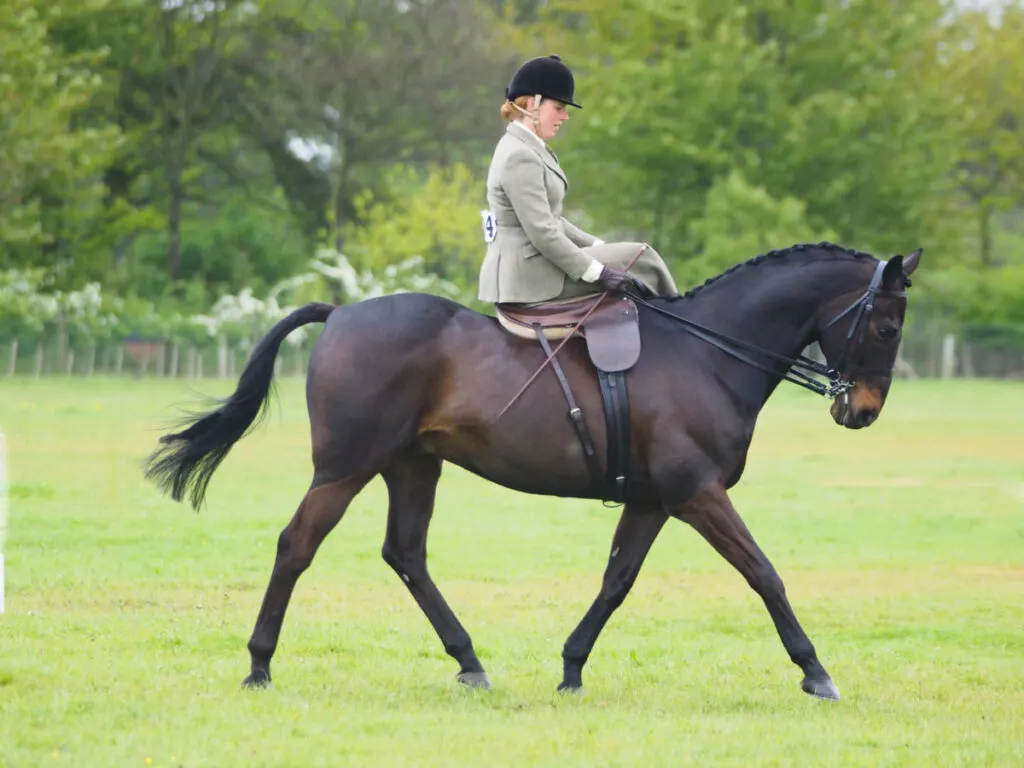 elegant girl riding a horse using a side saddle in a green field 