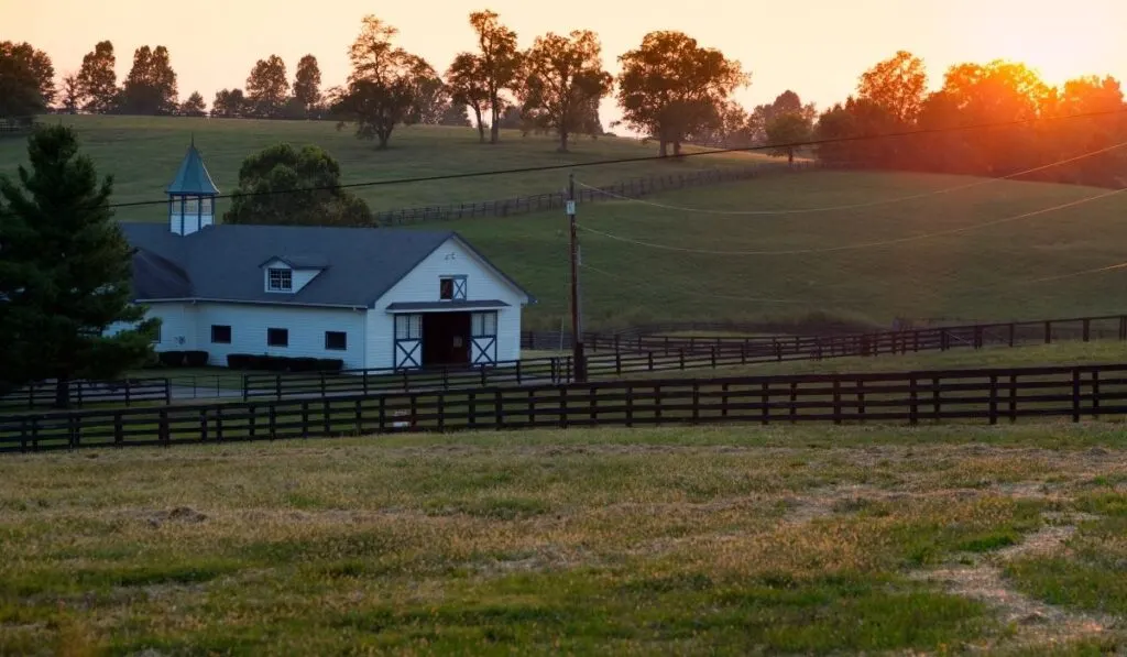 empty horse farm