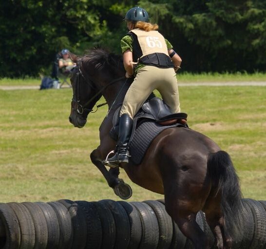 eventing Archives Helpful Horse Hints