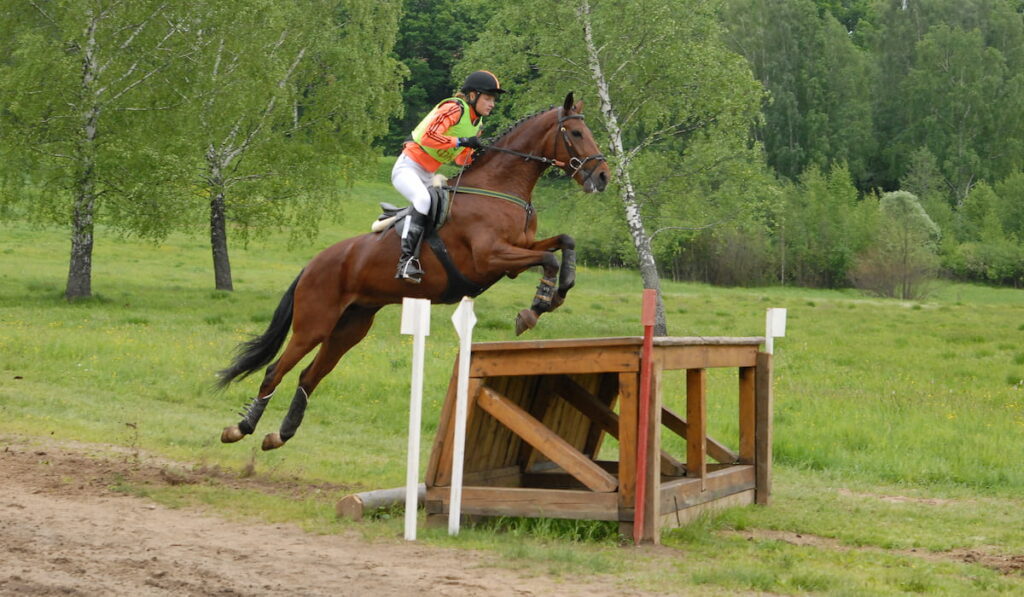 Rider horseback jumps through an obstacle