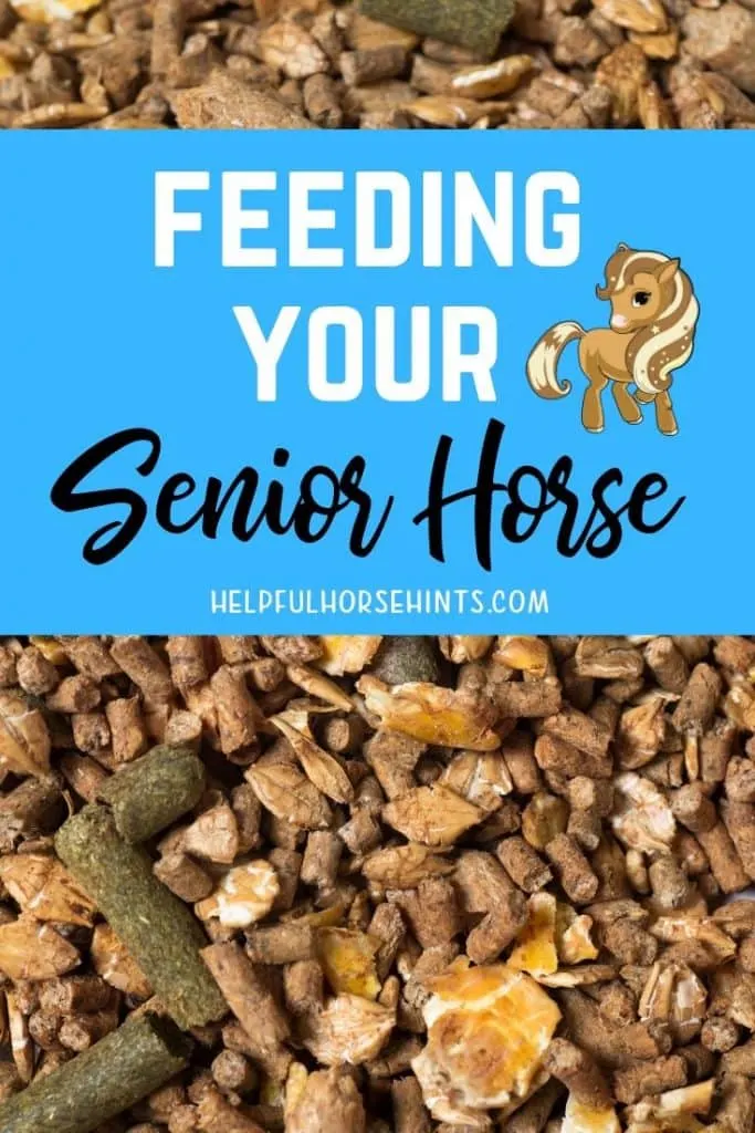 pinterest pin - feeding your senior horse