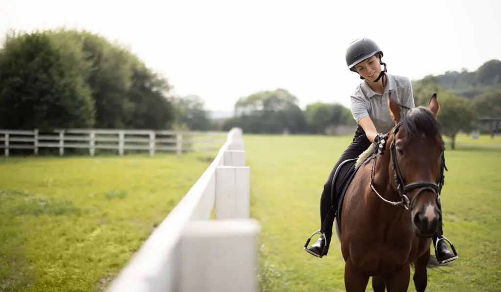 female horse riding a horse