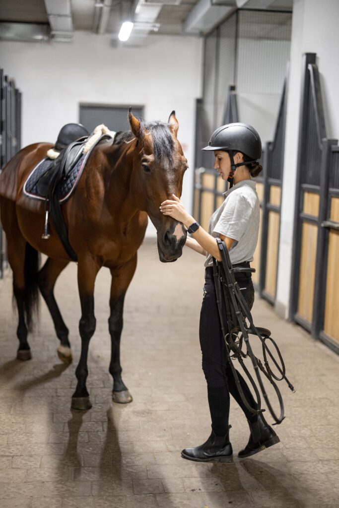 Female horseman with Thoroughbred horse in stable
