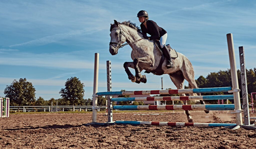 female jocky riding horse