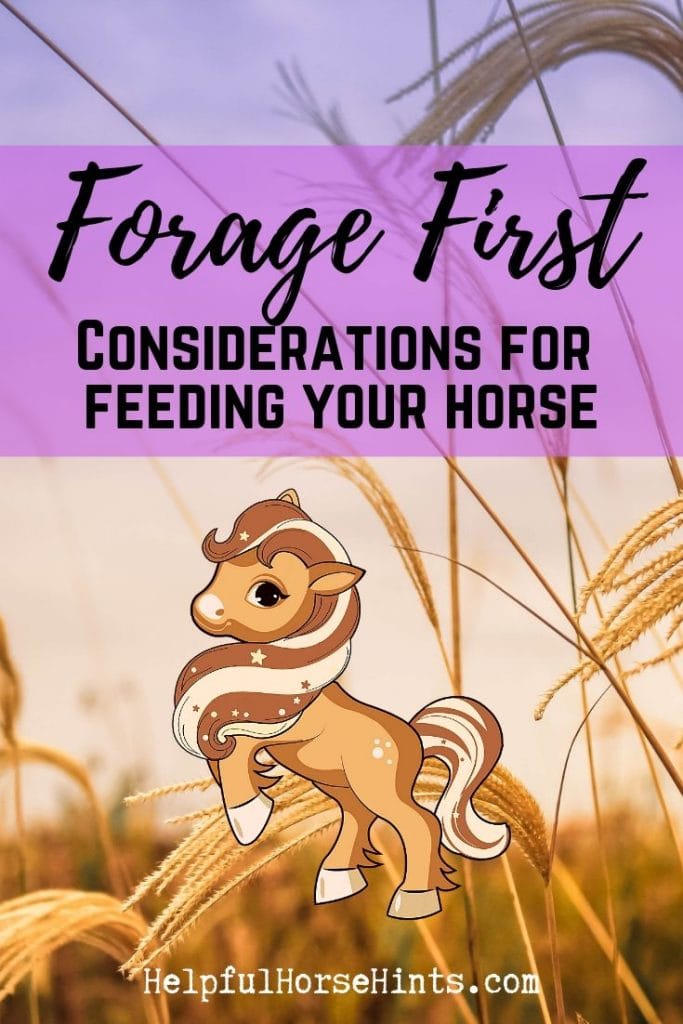 Pinterest pin - Considerations for feeding your horse