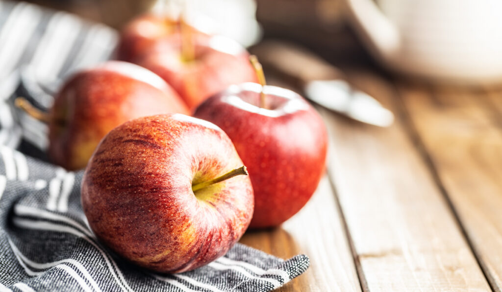 fresh autumn apples