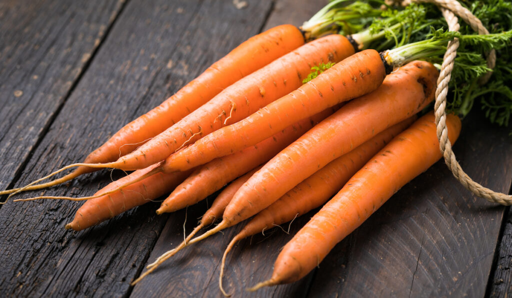 fresh carrots bunched