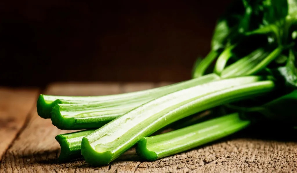 fresh celery photo