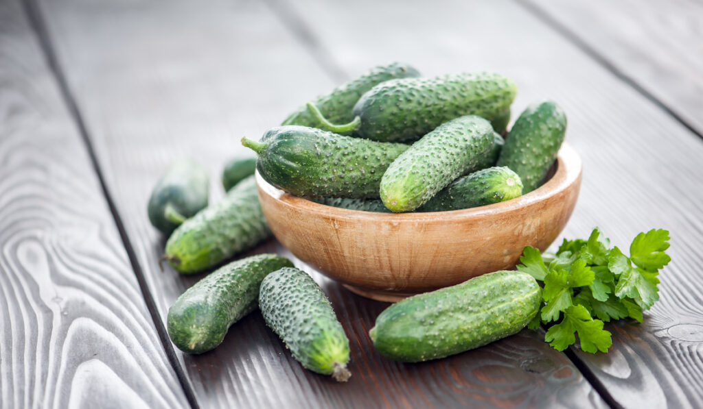 fresh cucumber in wooden table