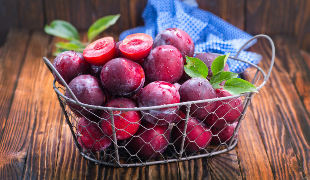 fresh plums in basket and on a table