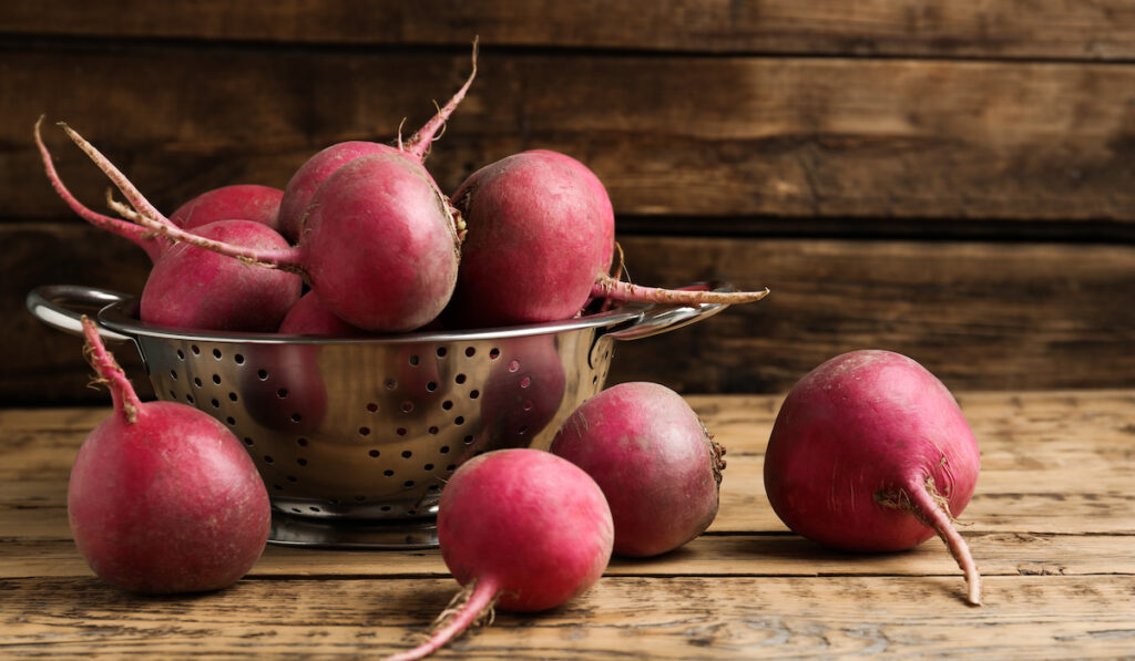 fresh red turnips