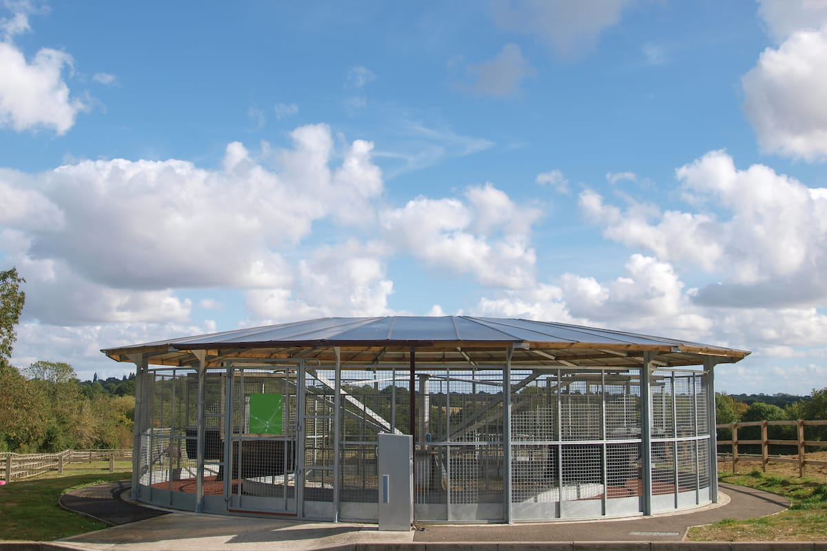 Horse Hot Walker Types, Prices, Uses & Safety Helpful Horse Hints