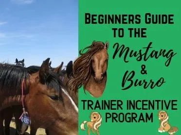 getting started with the trainer incentive program