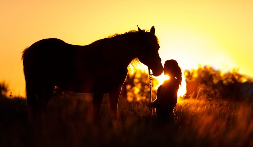 girl holding a horse at sunset 